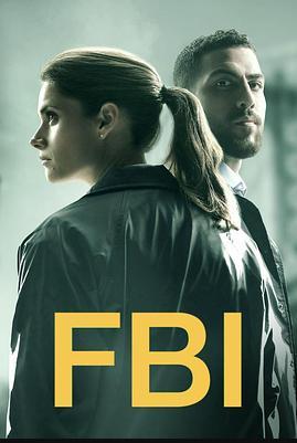 聯(lián)邦調查局第二季(全集)