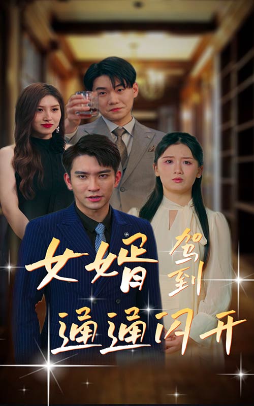 女婿駕到，通通閃開(全集)