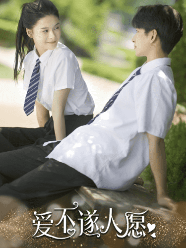 愛不遂人愿第19集