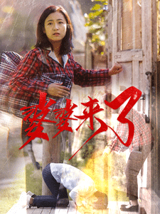 婆婆來(lái)了（短劇版）(全集)