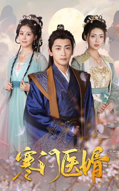 寒門醫(yī)婿(全集)