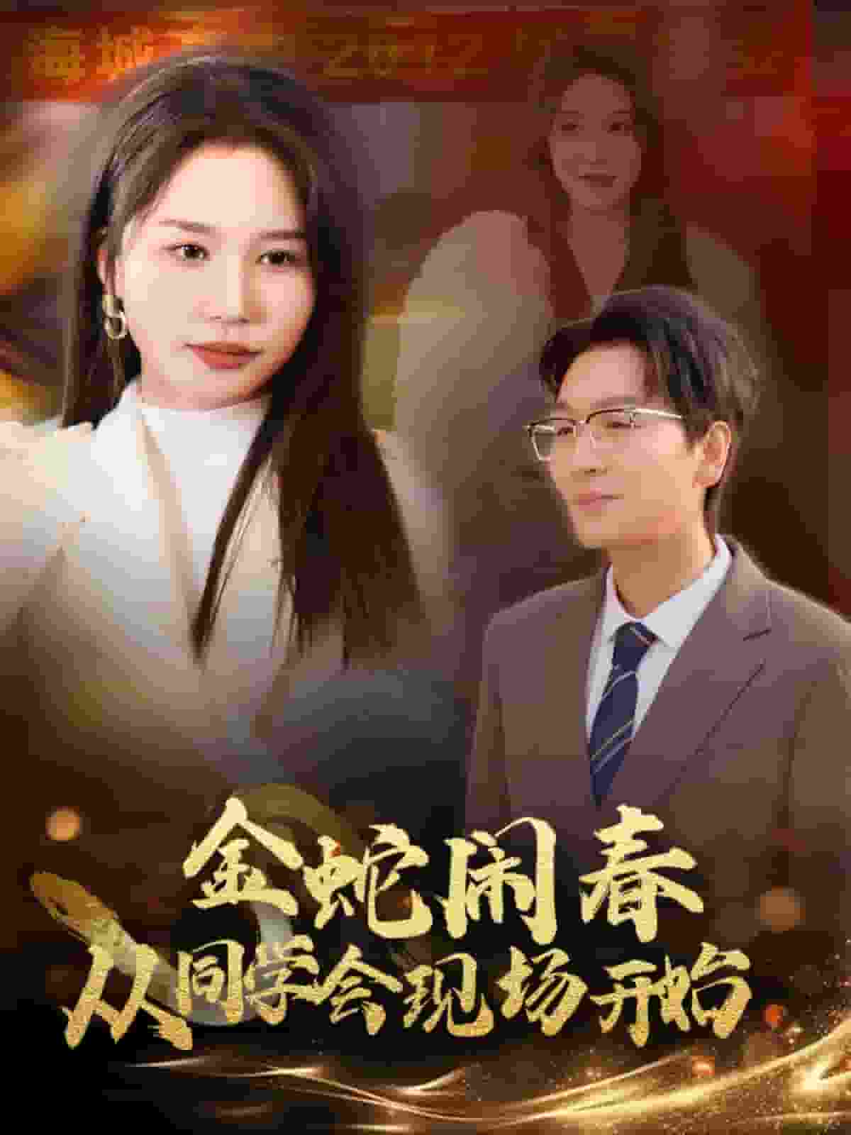 金蛇鬧春從同學(xué)會(huì)現(xiàn)場開始(全集)