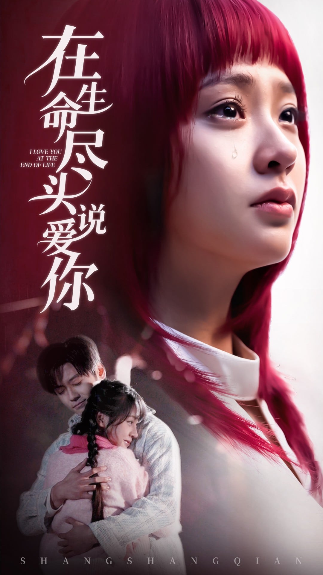 在生命盡頭說愛你(全集)