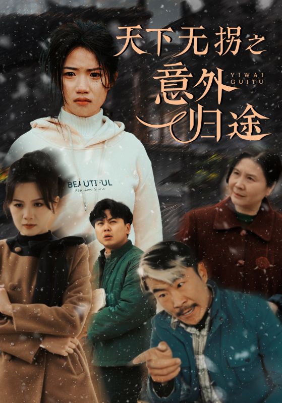 天下無拐之意外歸途(全集)