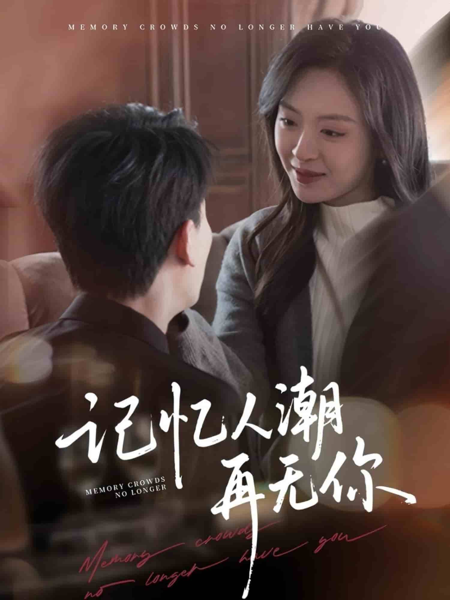 記憶人潮再無(wú)你第40集