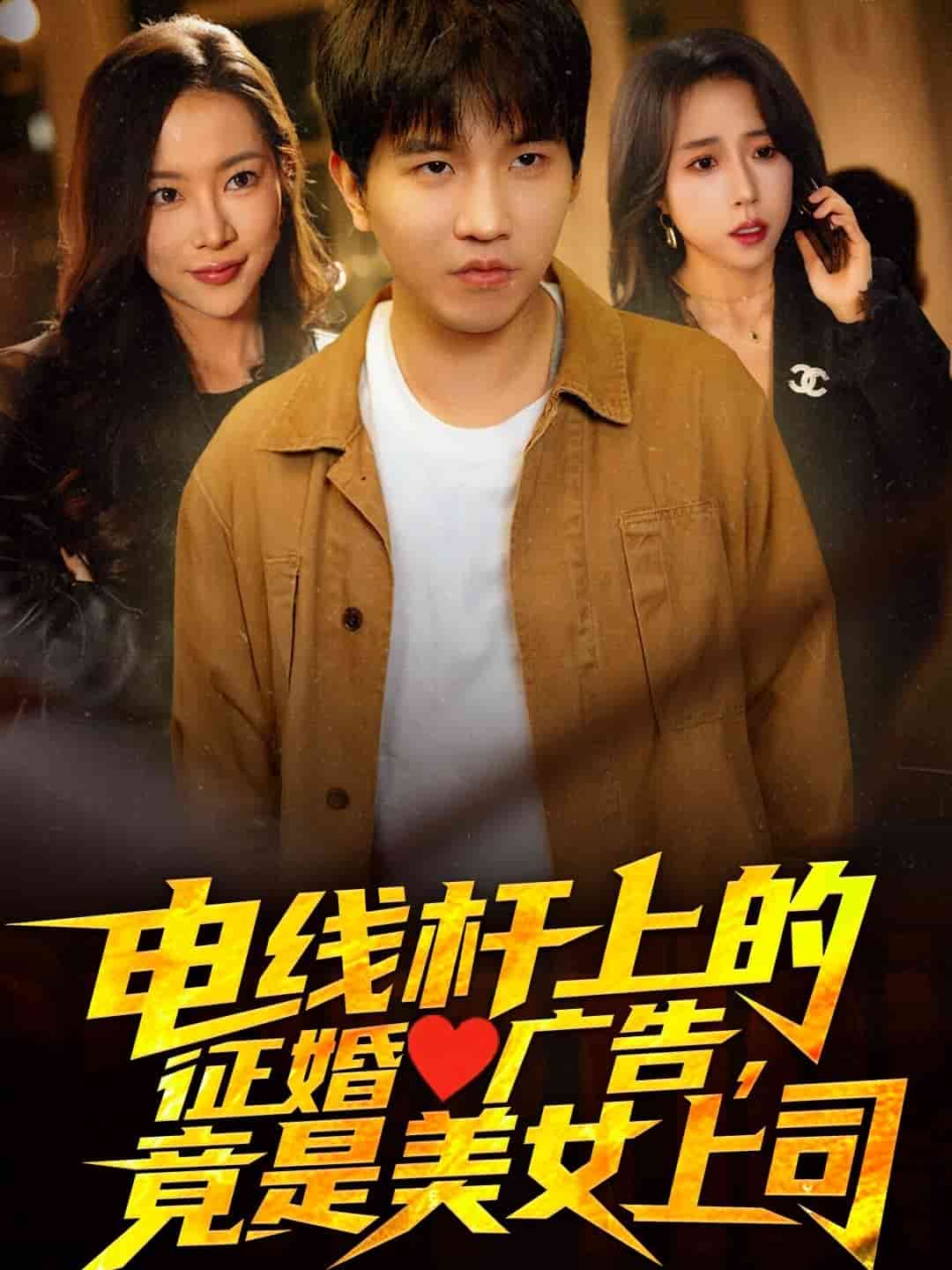 電線桿上的征婚廣告，竟是美女上司(全集)