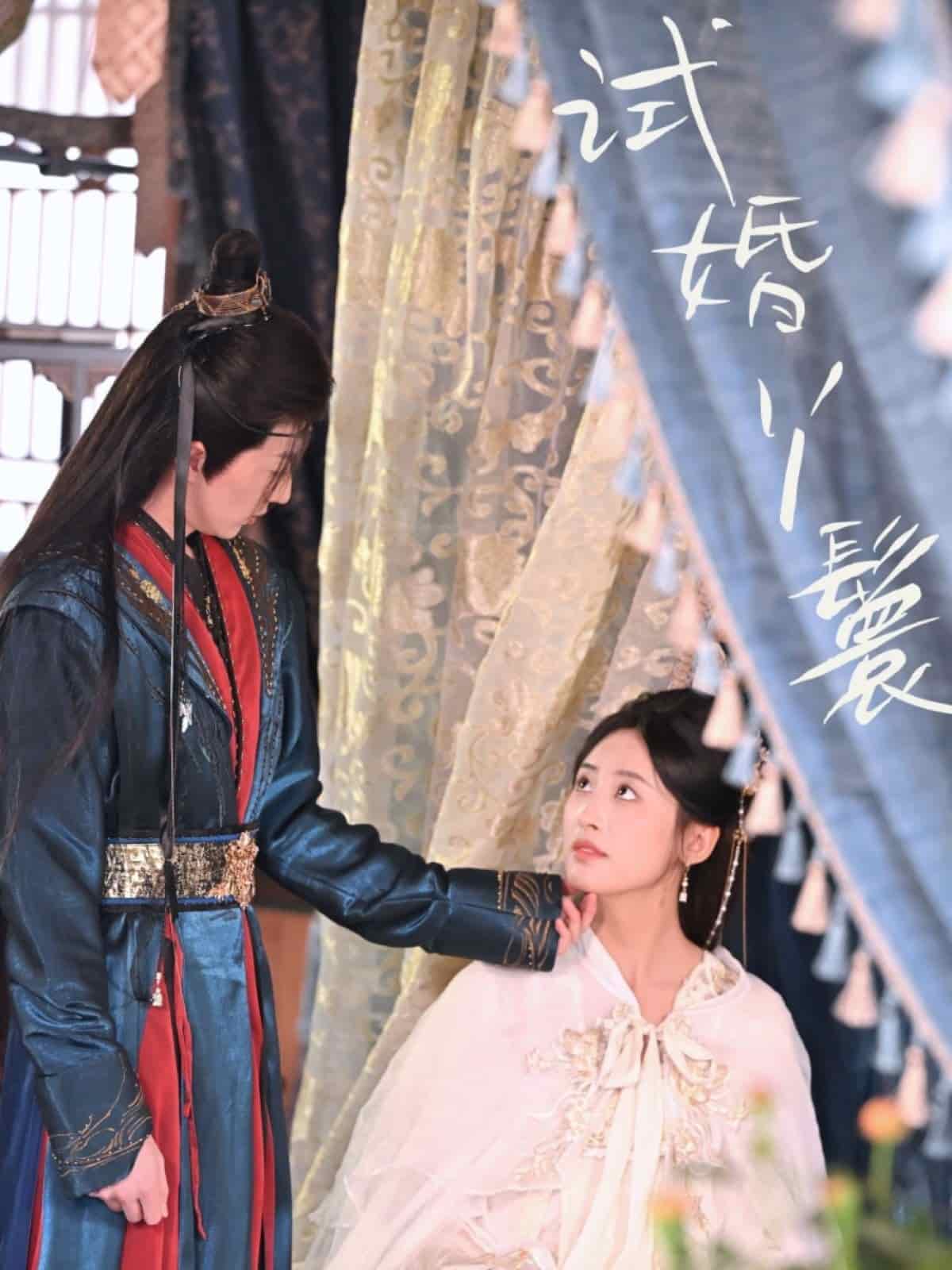 試婚丫鬟(全集)