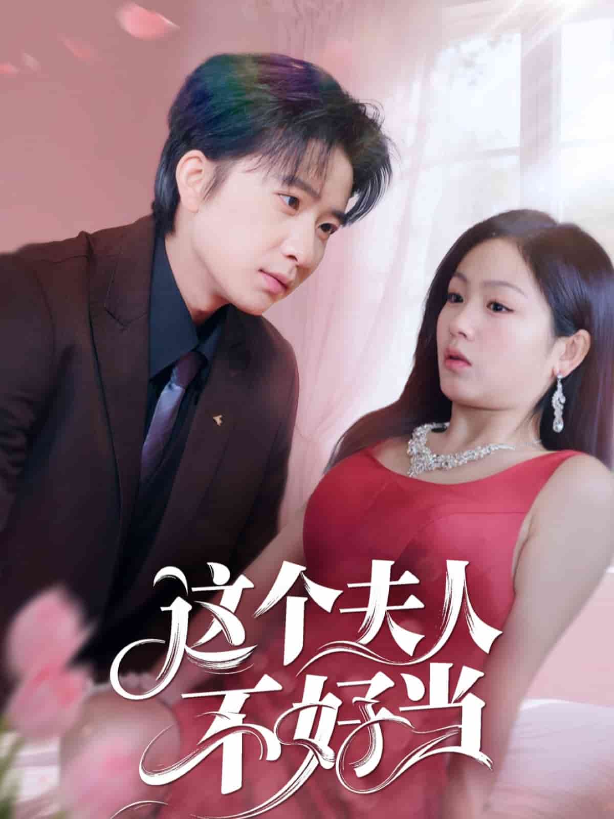 這個夫人不好當(dāng)(全集)