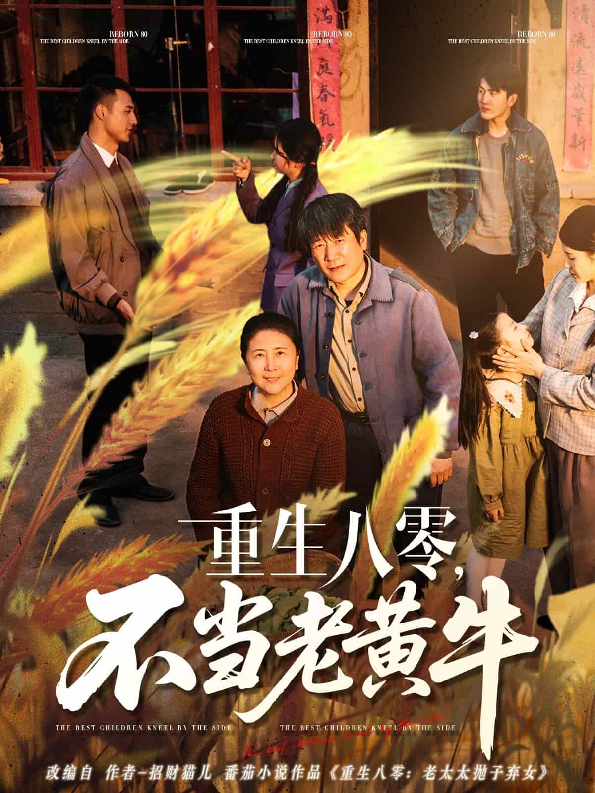 重生八零，不當(dāng)老黃牛(全集)