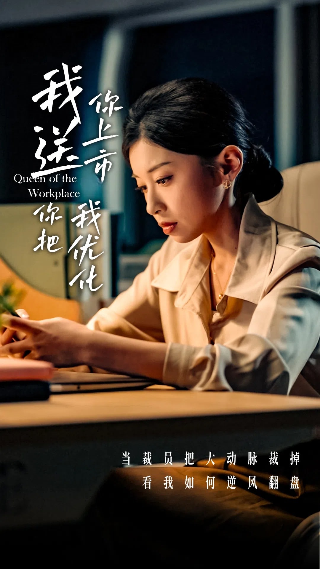 我送你上市你把我優(yōu)化(全集)