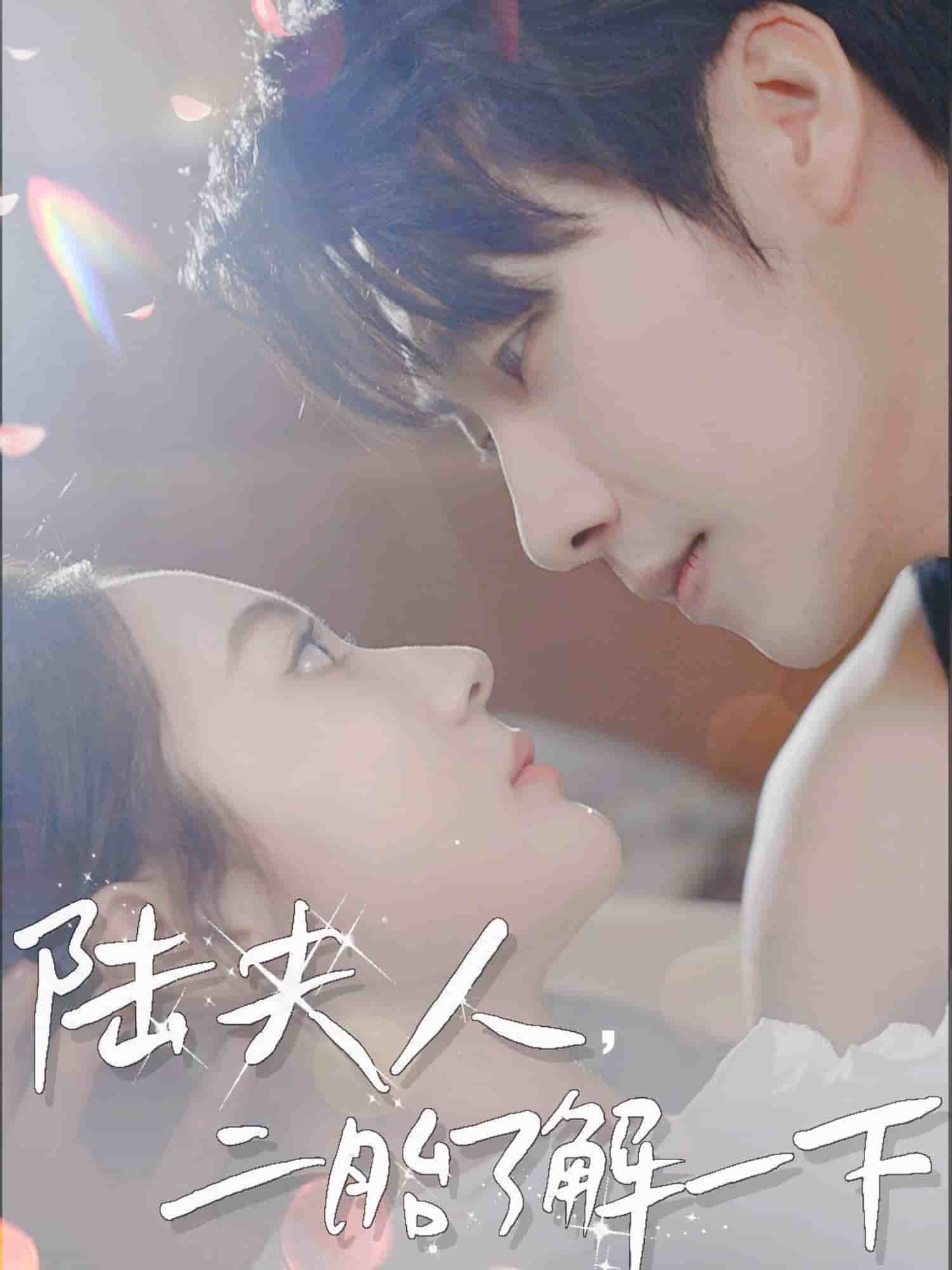 陸夫人，二胎了解一下(全集)