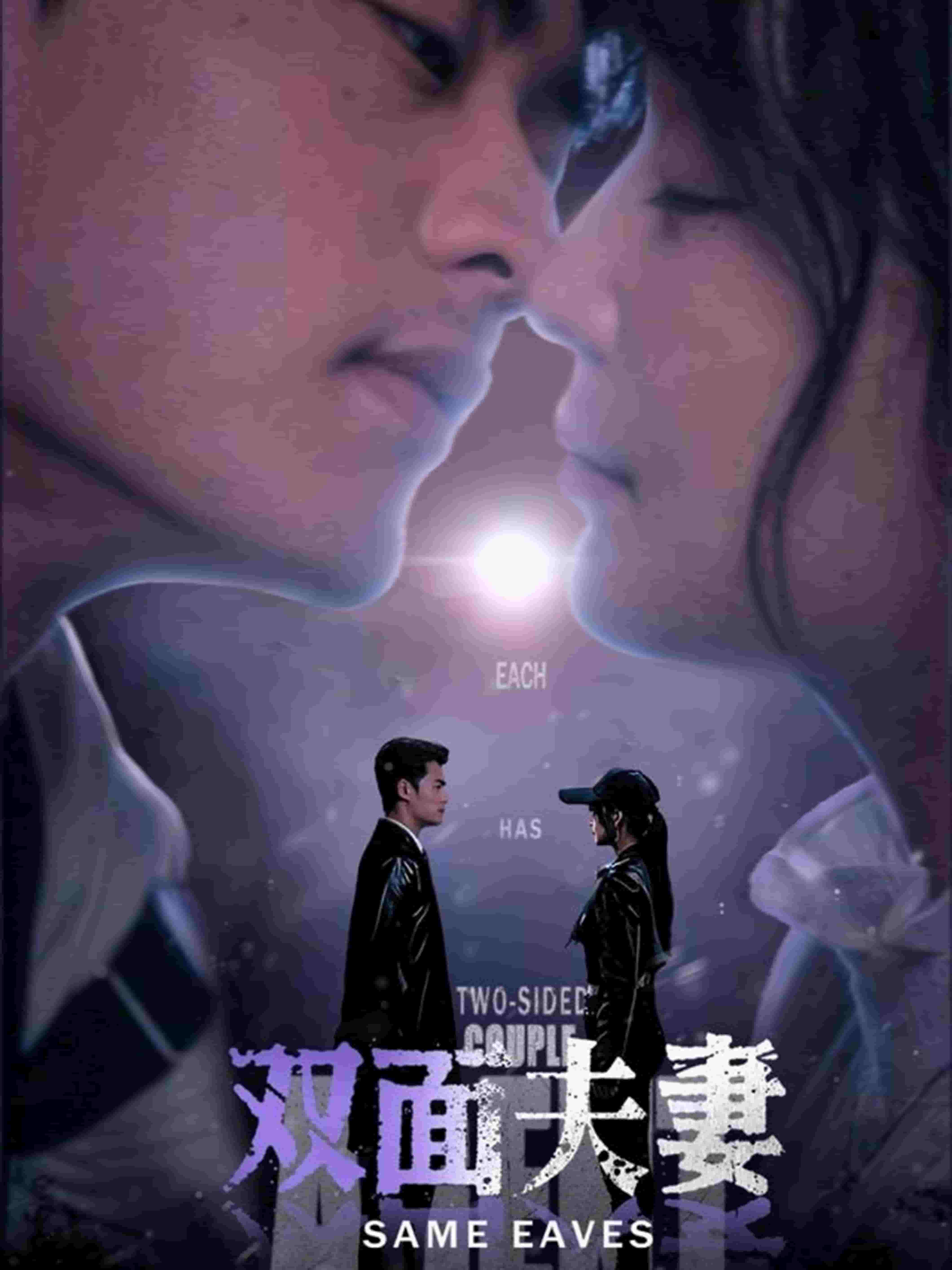 雙面夫妻(全集)