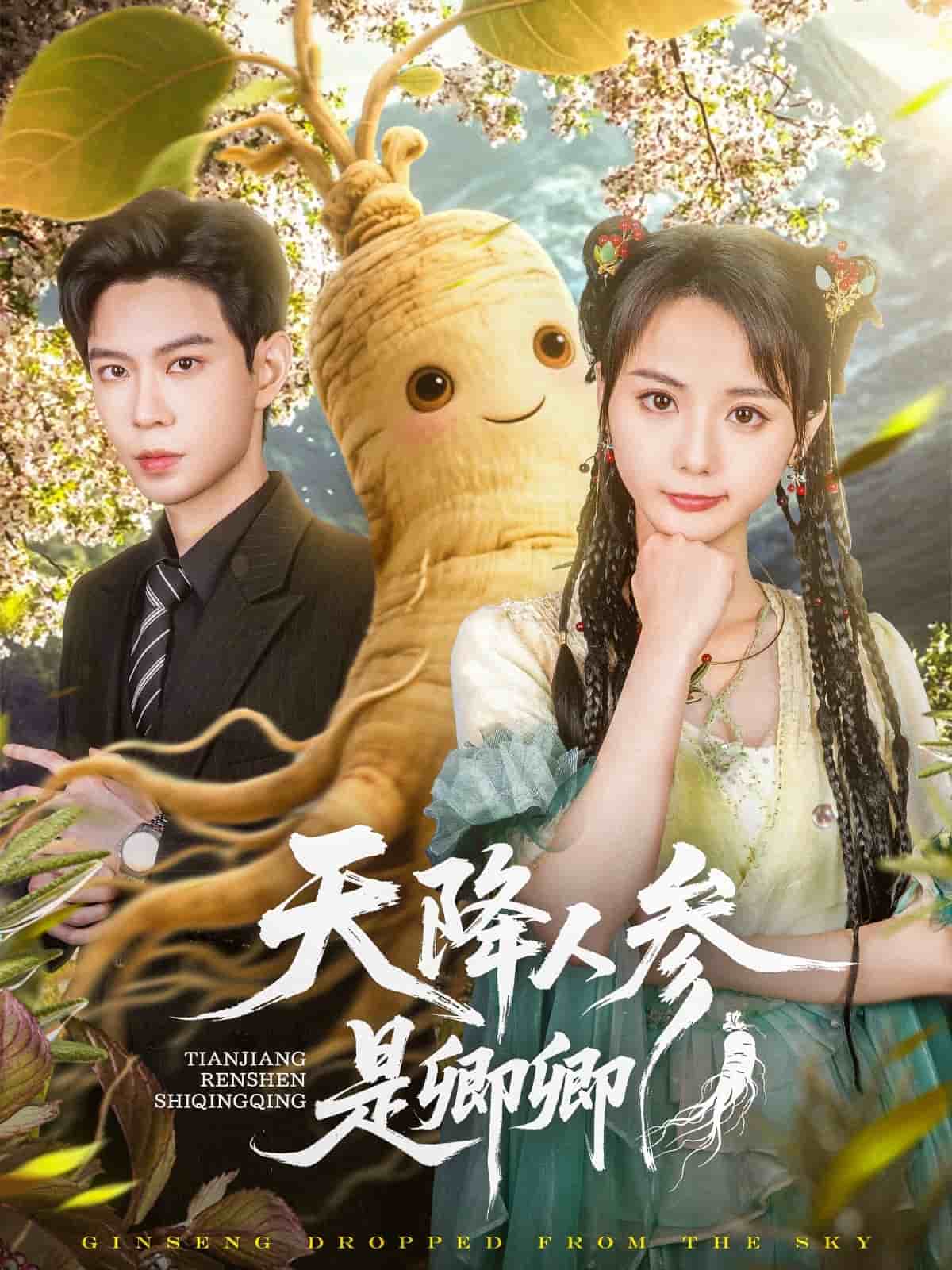 天降人參是卿卿第67集