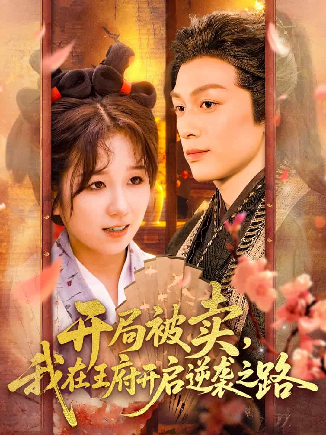 開局被賣我在王府開啟逆襲之路第22集