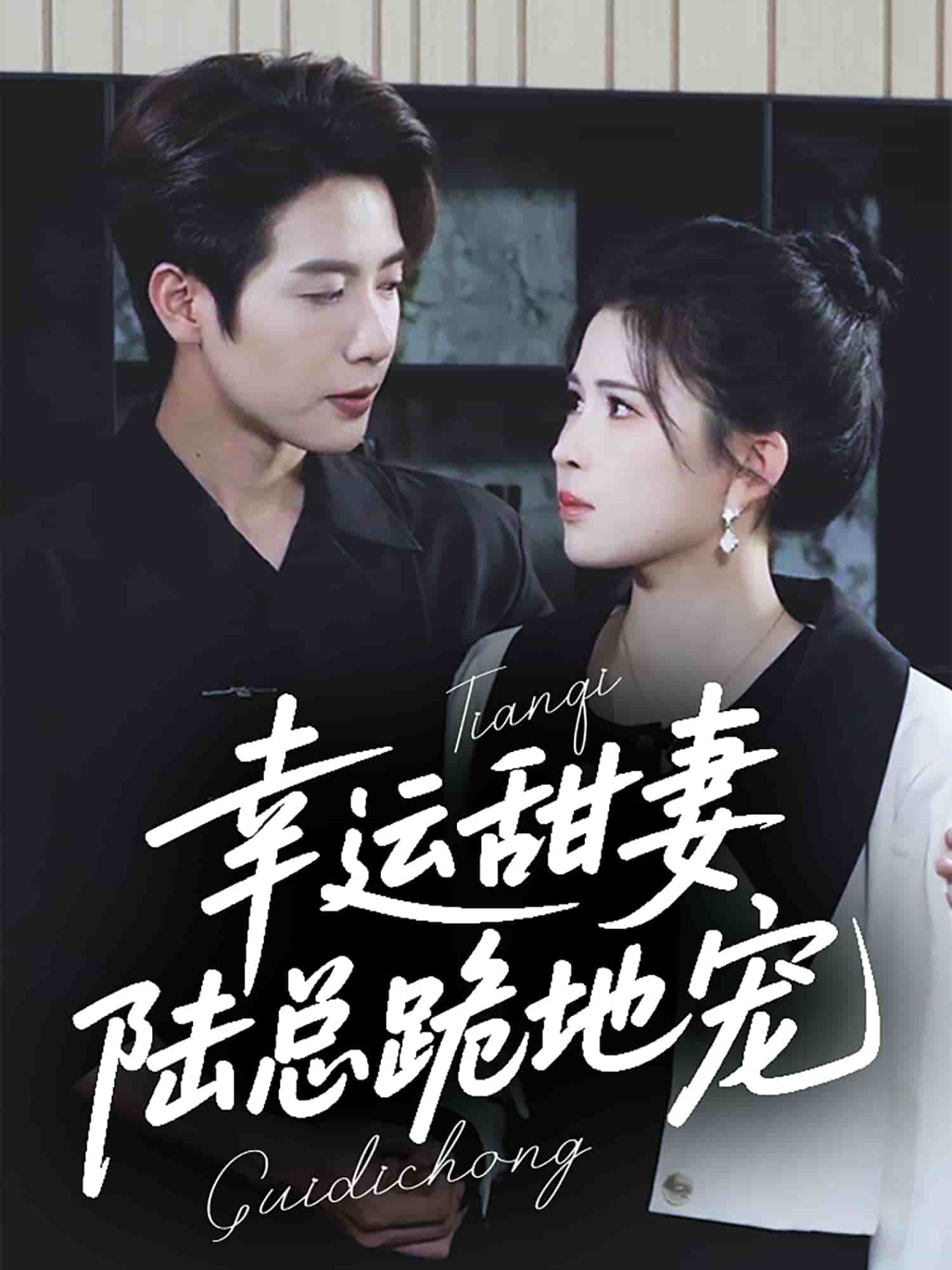 幸運甜妻，陸總跪地寵(全集)