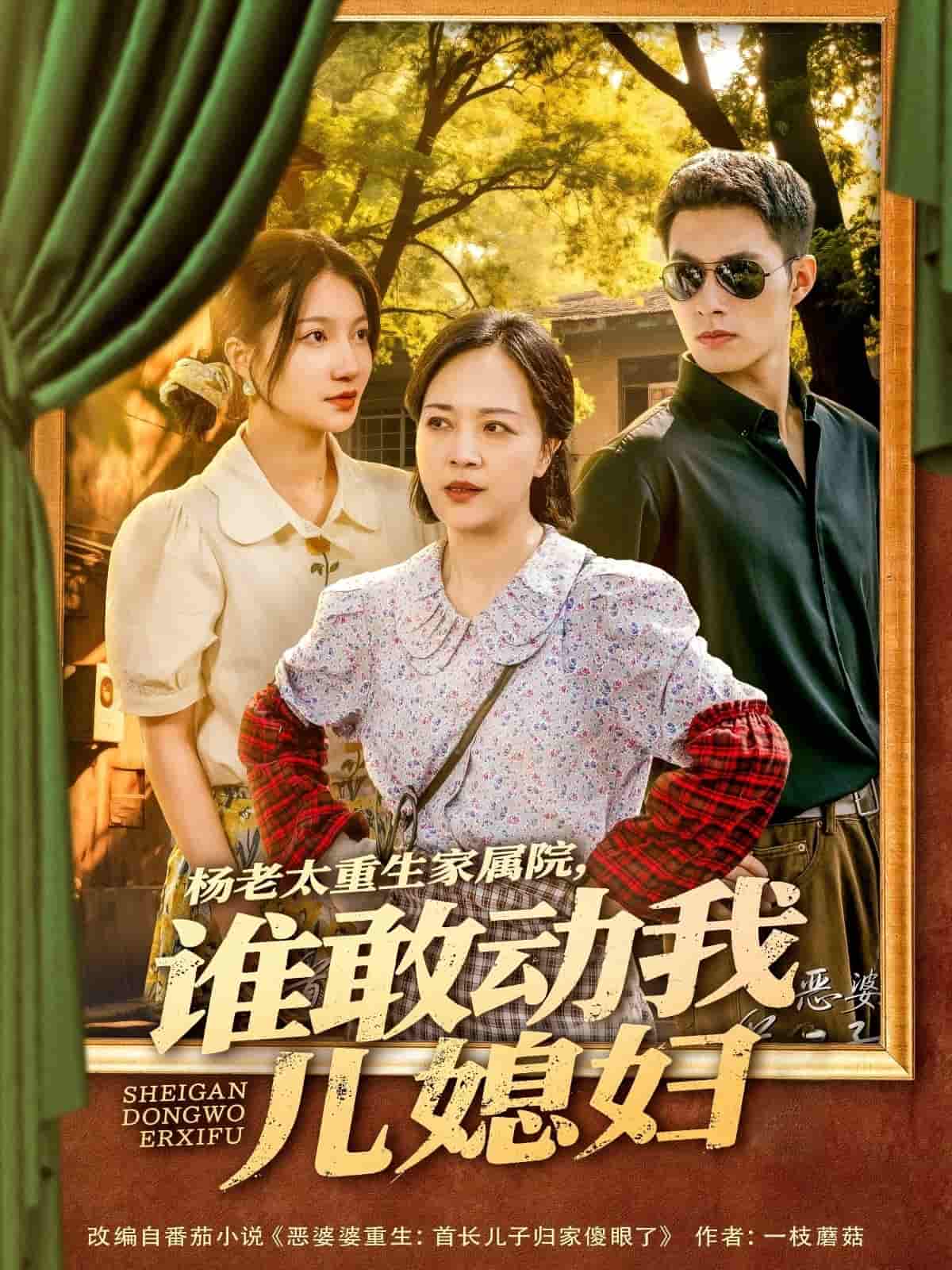 楊老太重生家屬院，誰(shuí)敢動(dòng)我兒媳婦(全集)