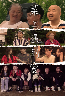 菜鳥(niǎo)遇到愛(ài)(全集)