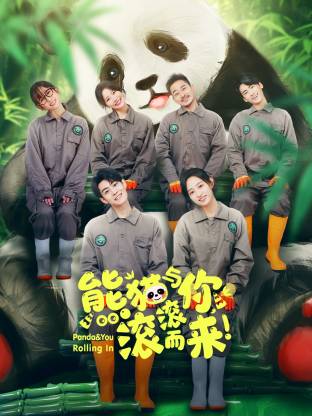 熊貓與你，滾滾而來！(全集)