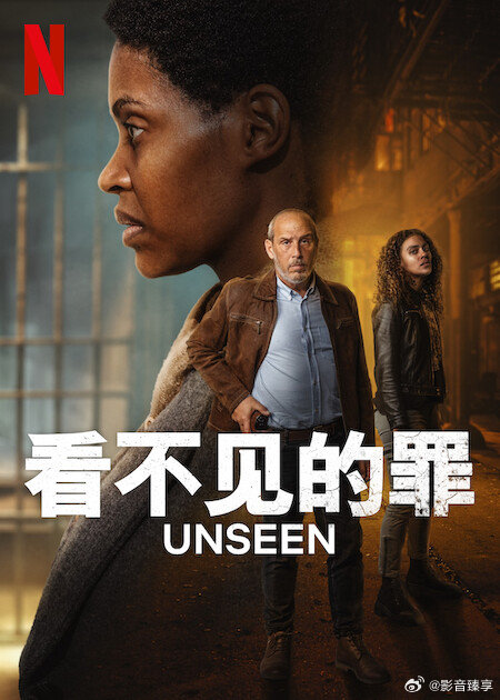 看不見的罪第二季(全集)